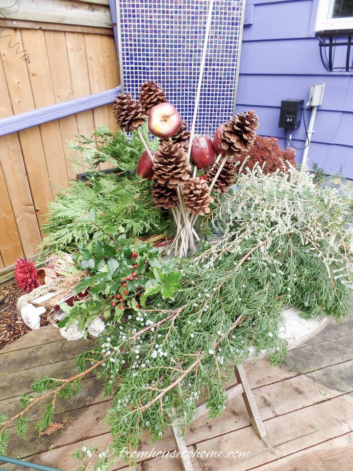 Evergreen branches and dried flower supplies for winter window boxes