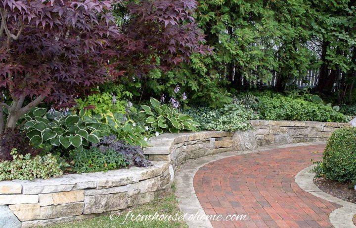 Shade garden design with Hostas and lots of ground cover perennials