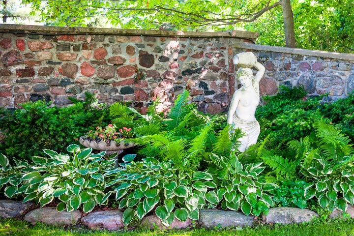 Hostas planted with ferns surrounding a statue and a container with impatiens