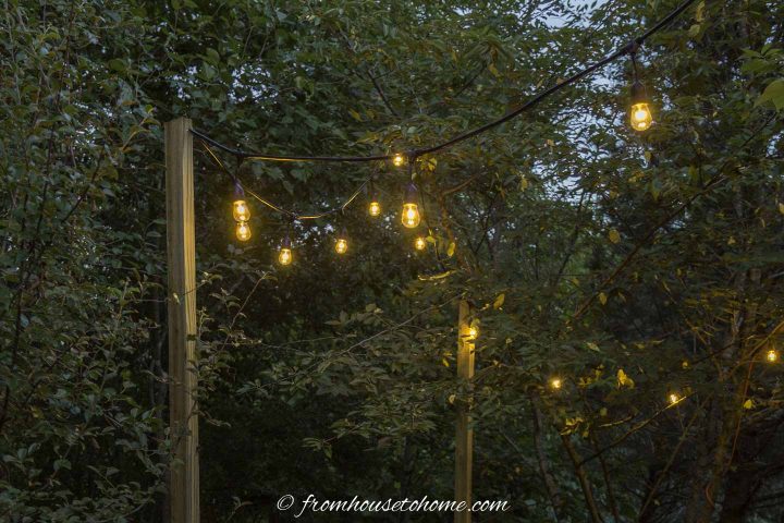 A string of Edison-style light bulbs hung in the garden