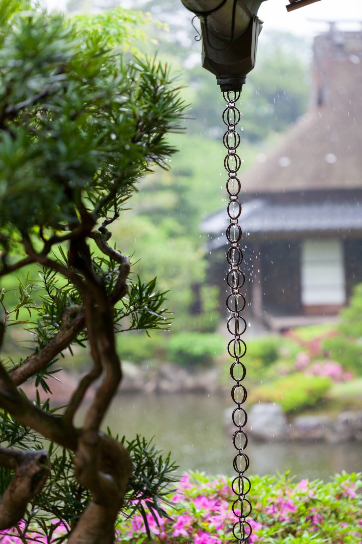 Rain chain in a Japanese garden 