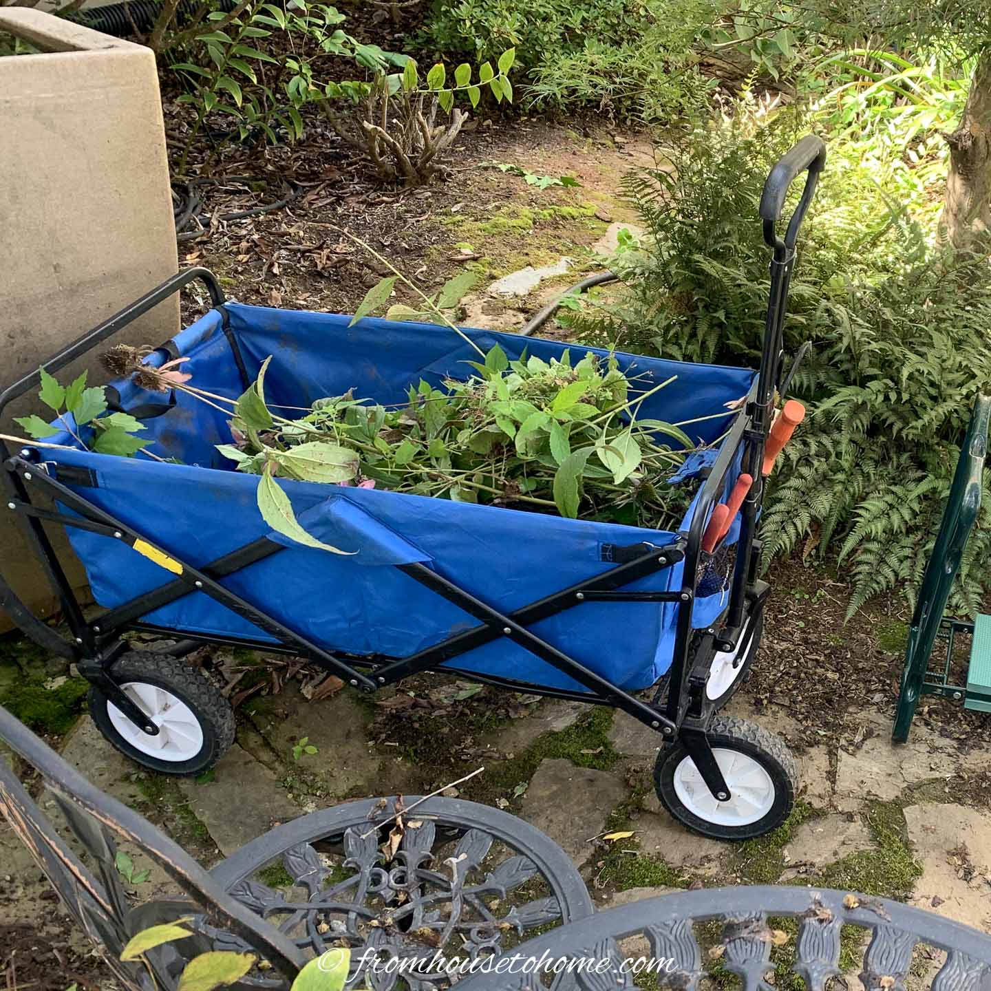 fold-up wagon with weeds in it in the garden