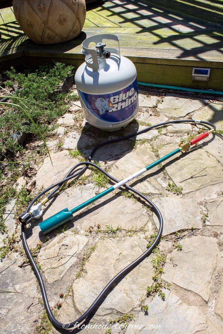 flame thrower weed killer with a propane tank on a flagstone patio