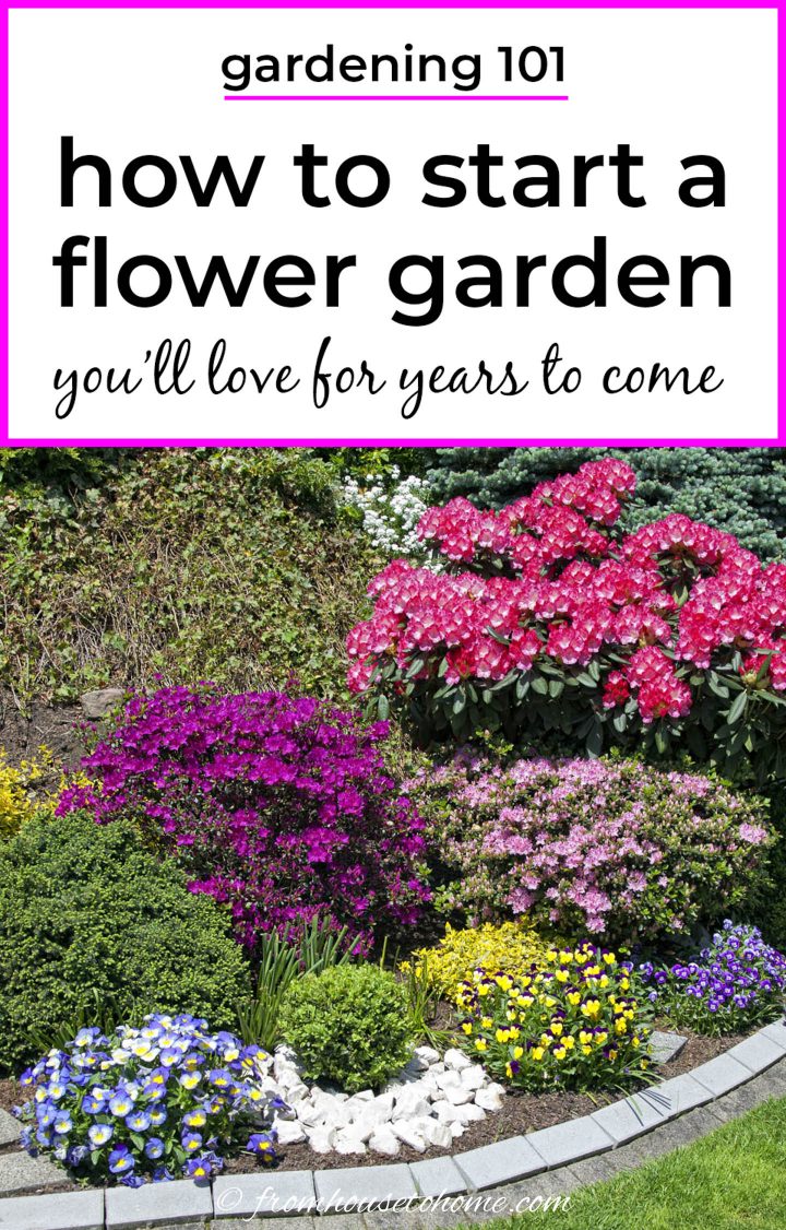 how to start a flower garden you'll love for years to come