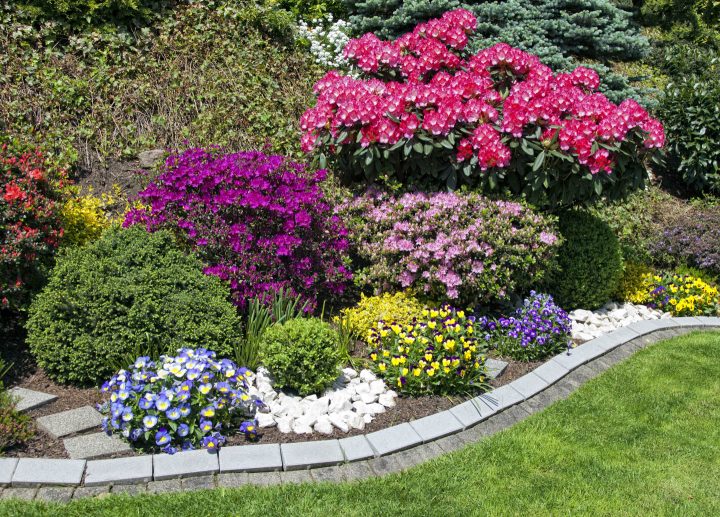Visual of how to start a flower garden - flowers of varying heights in a bed with trim.