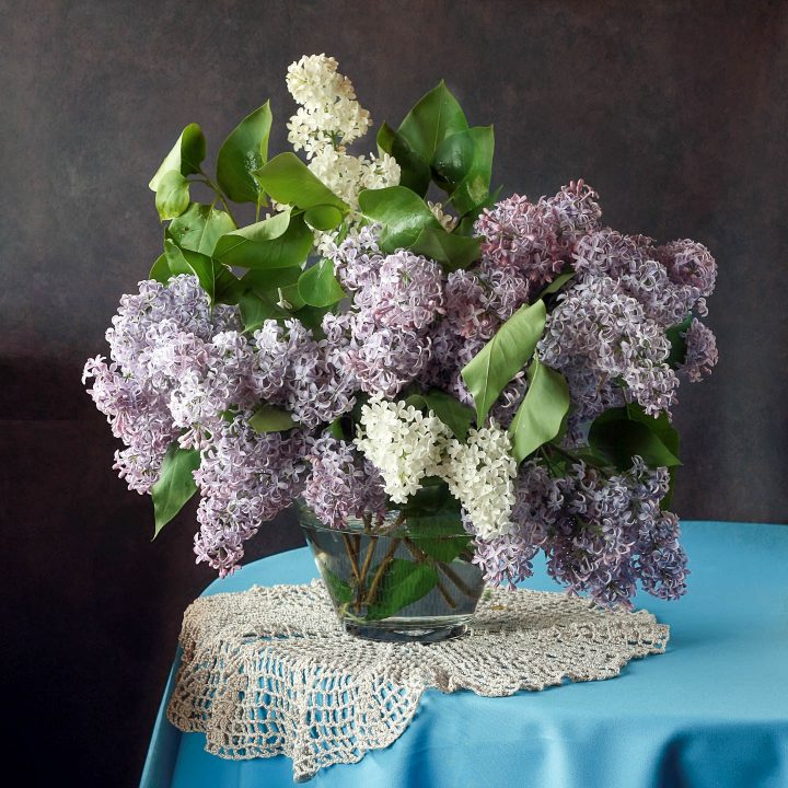 purple and white lilac flowers in a vase on a table