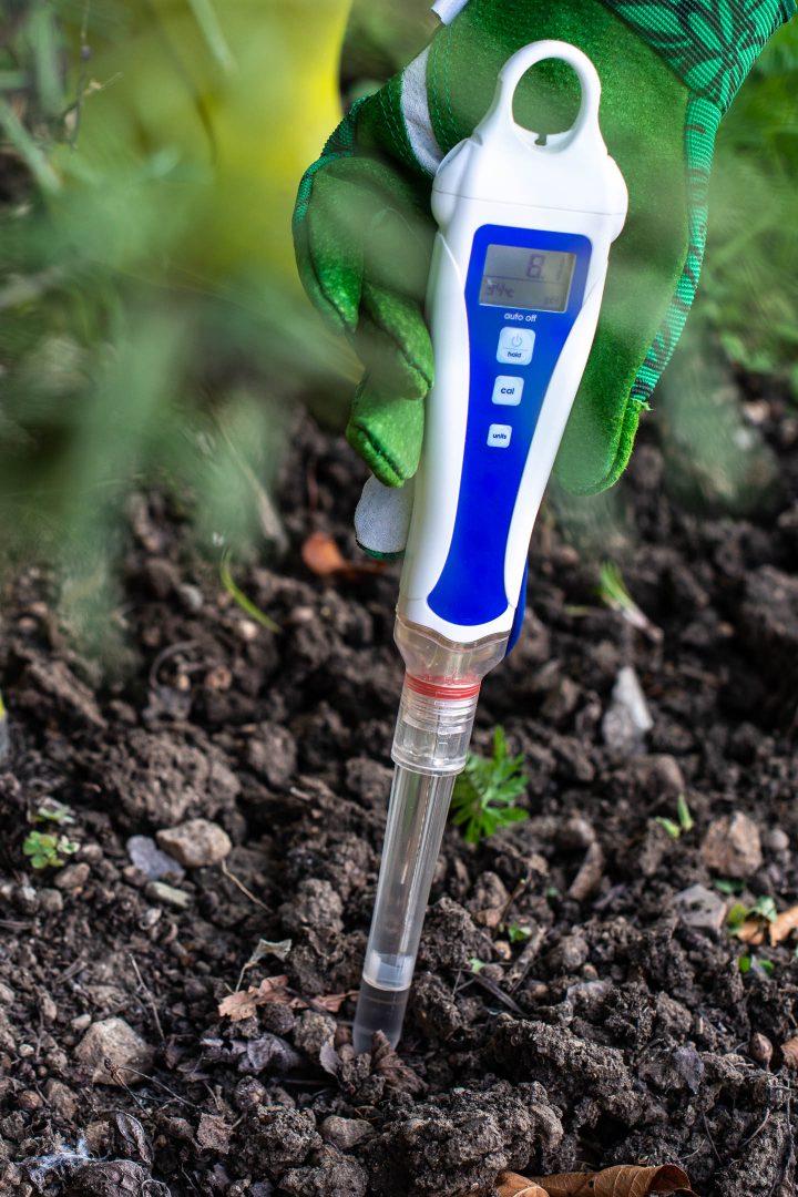 Garden soil tester in the ground