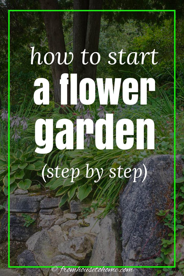 how to start a flower garden (step by step)