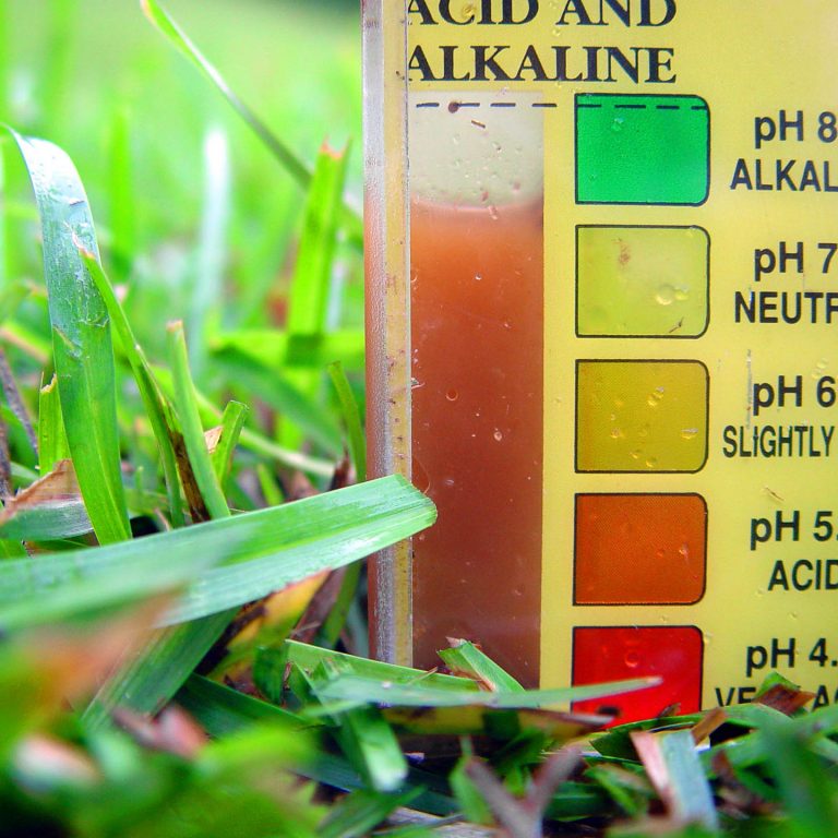 Garden Soil pH: What Is It and Why Does It Matter?
