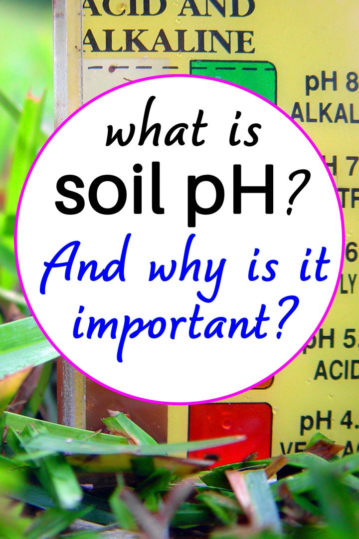 What is soil pH? And why is it important?