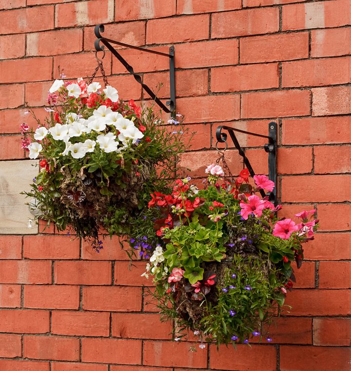Hanging baskets hung on a brick wall with brackets