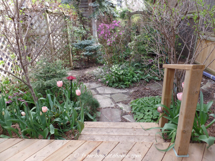 Small city backyard garden with a flagstone walkway