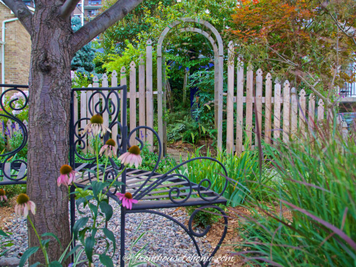 Garden bench under a tree looking at a picket fence and arbor