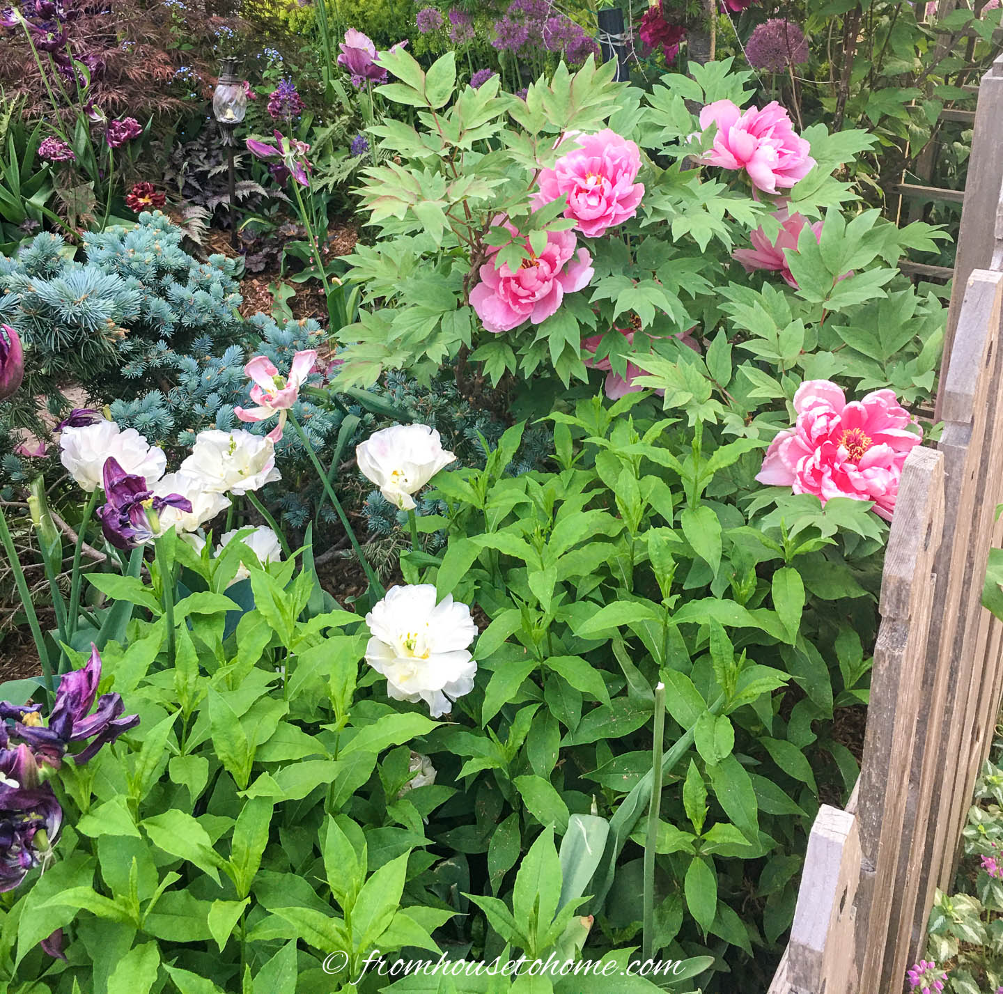 Year Round Flower Garden Tour