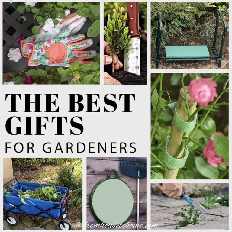 Best Gifts For Gardeners in 2021
