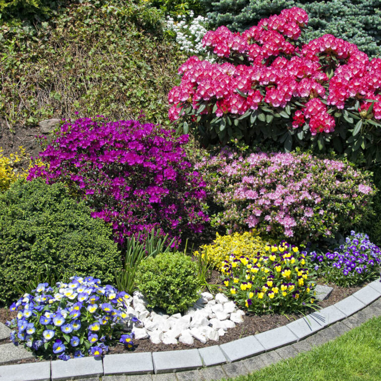 How to Start a Flower Garden You’ll Love for Years to Come