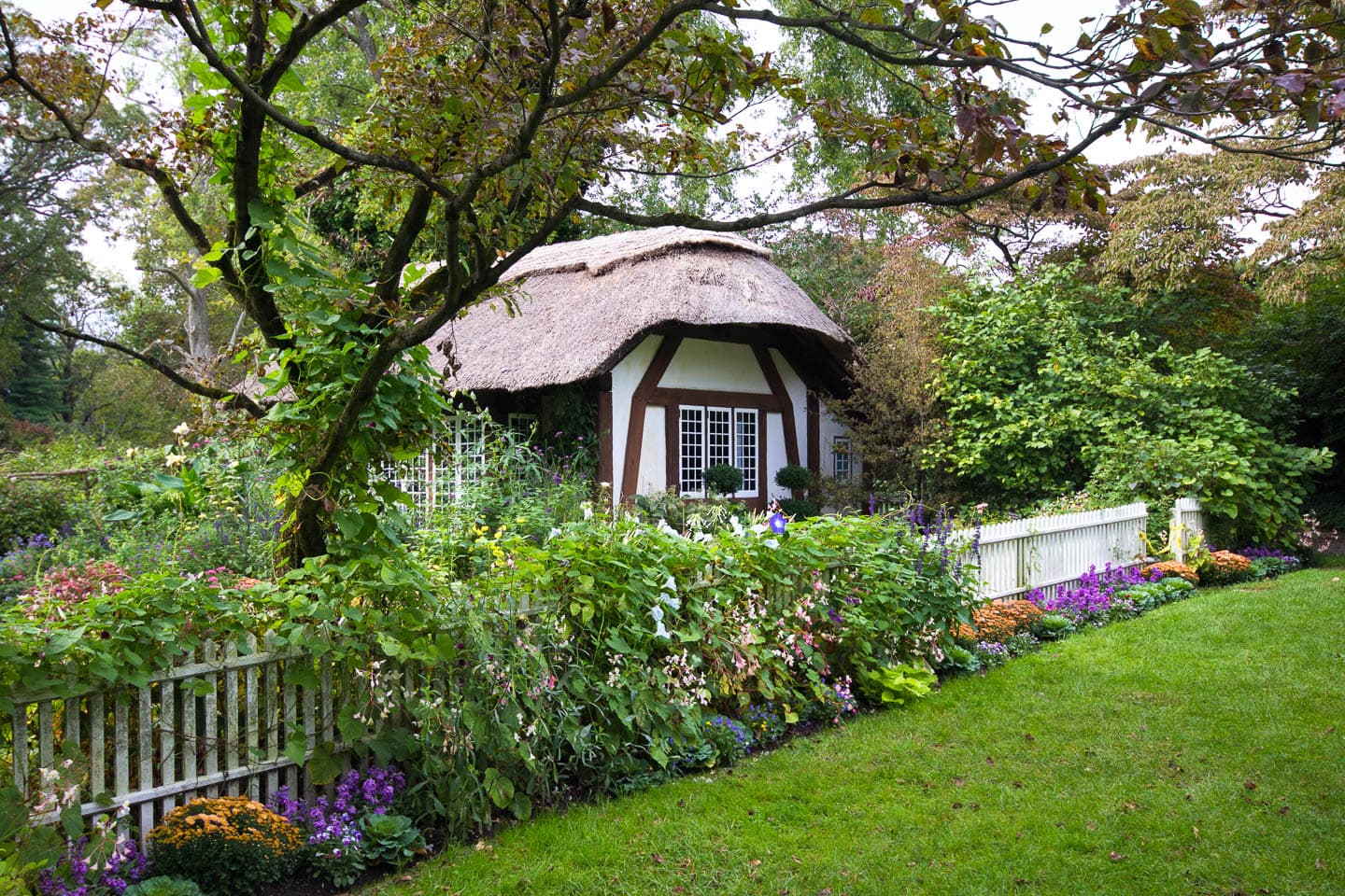 modern cottage garden in front of an English cottage