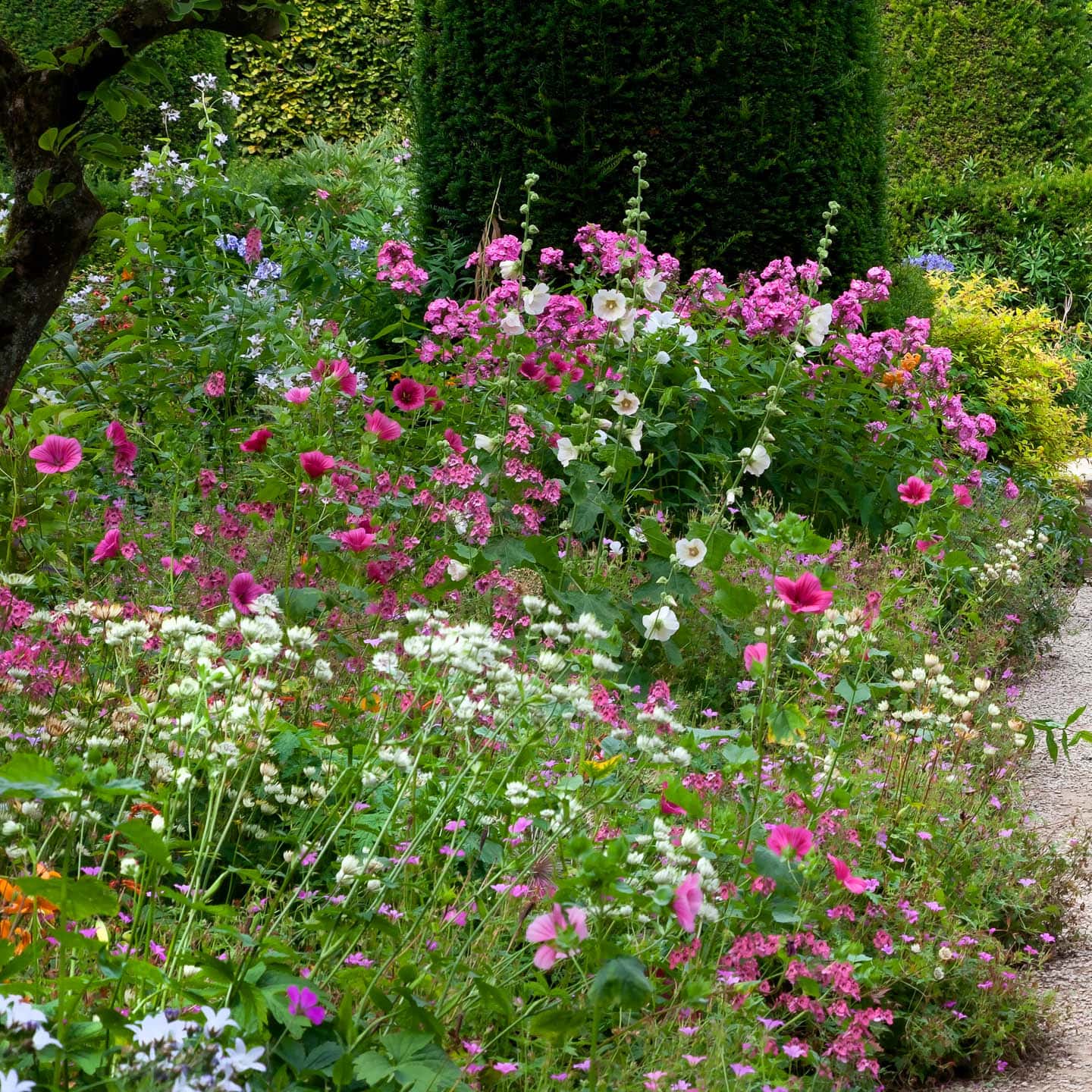 hollyhocks, daisies and other colorful flowers in a modern cottage garden
