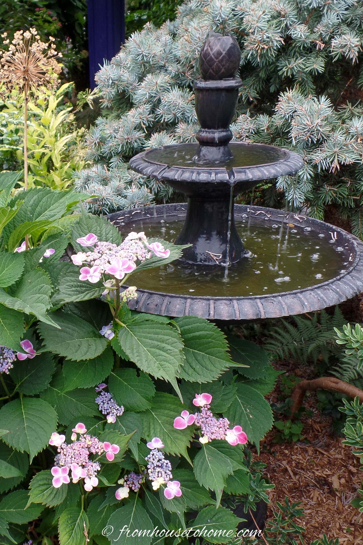 a water fountain in the middle of a cottage garden