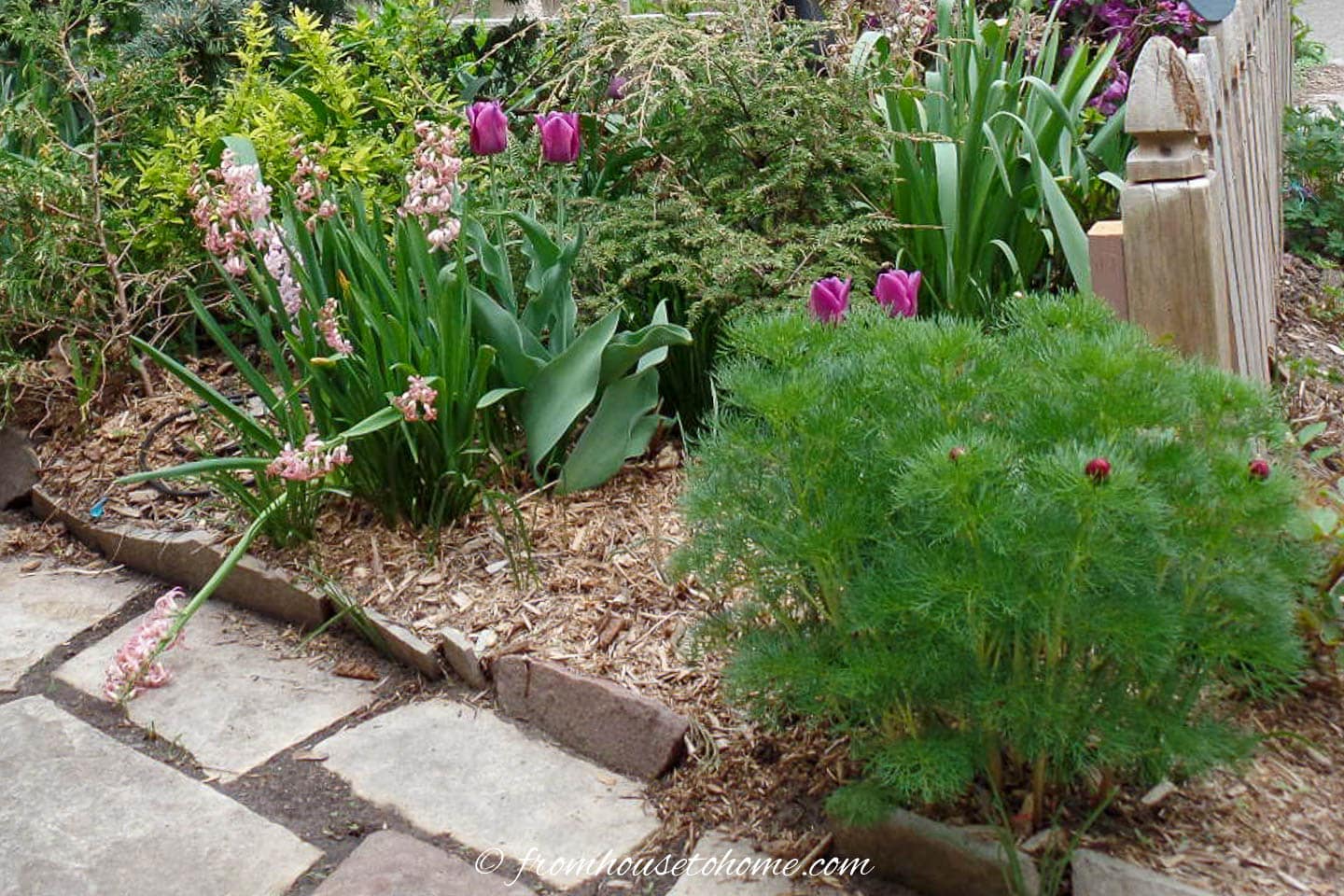 flagstone path with flagstone edging beside a garden bed