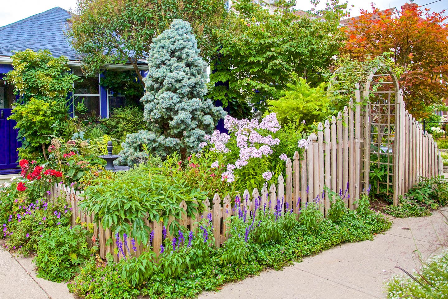 modern cottage garden surrounded by a wood picket fence with an arbor