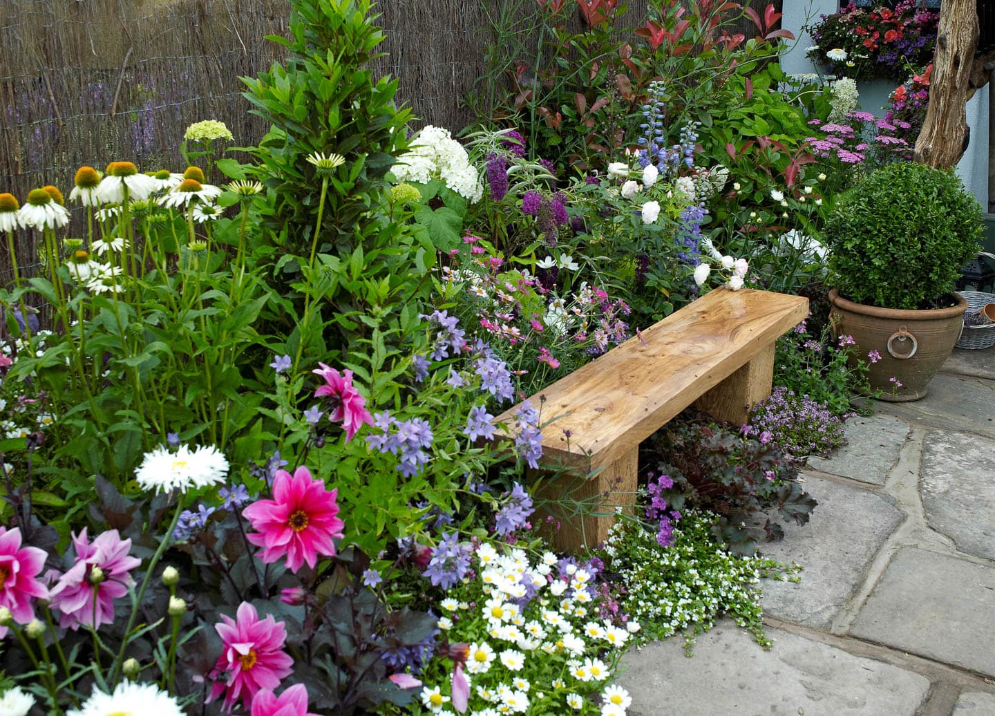 a rustic wood bench with a planter in front of a cottage garden border