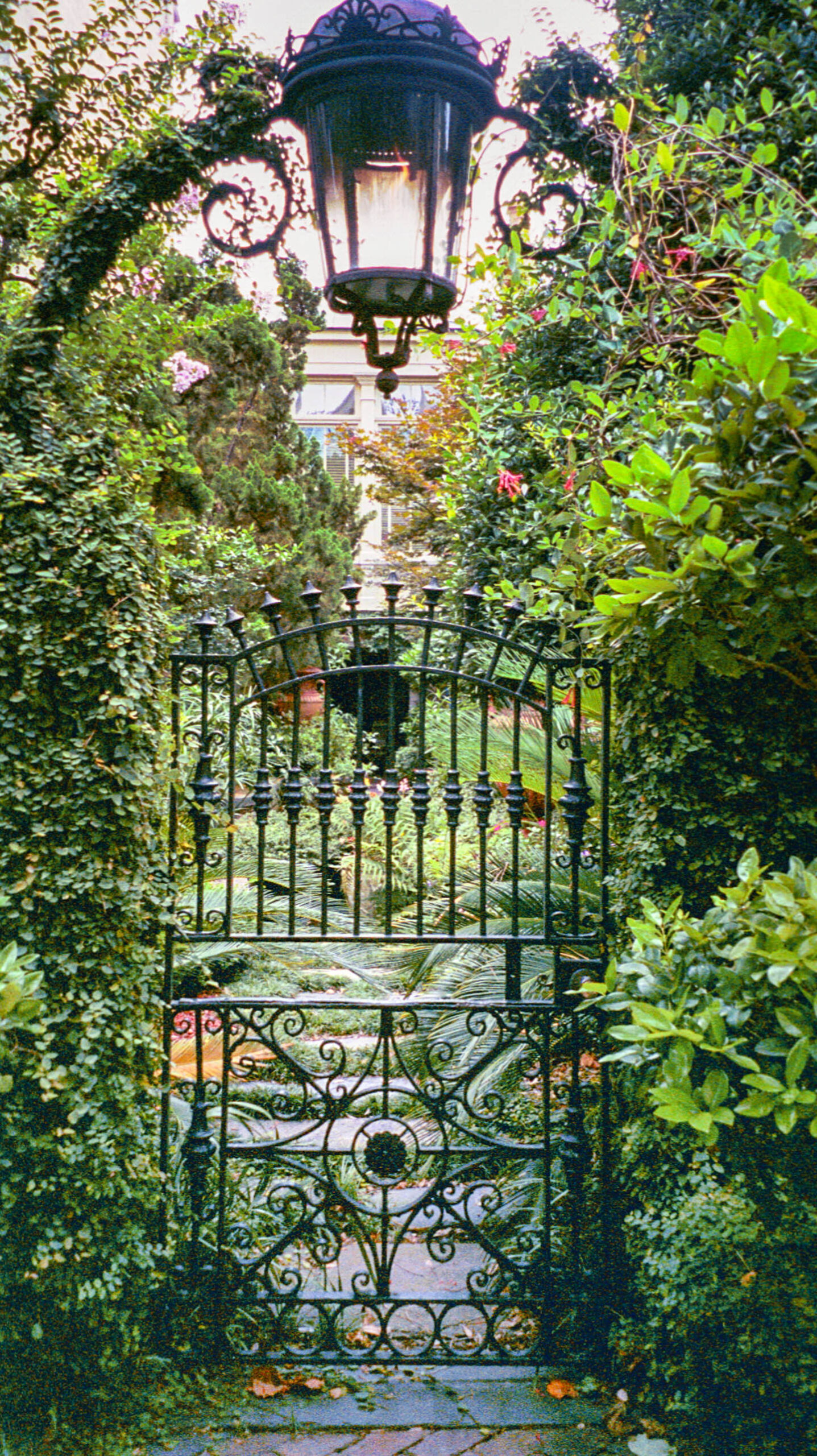 Charleston secret garden with a gas lantern and wrought iron gate