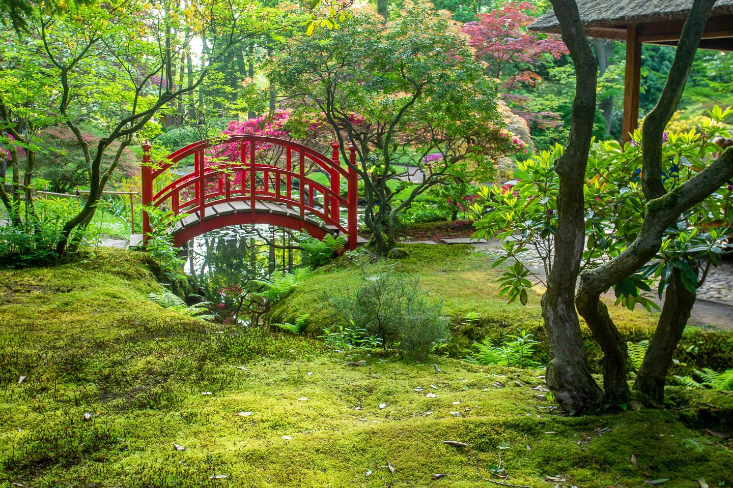 Red Japanese-style bridge with red railings in a zen garden