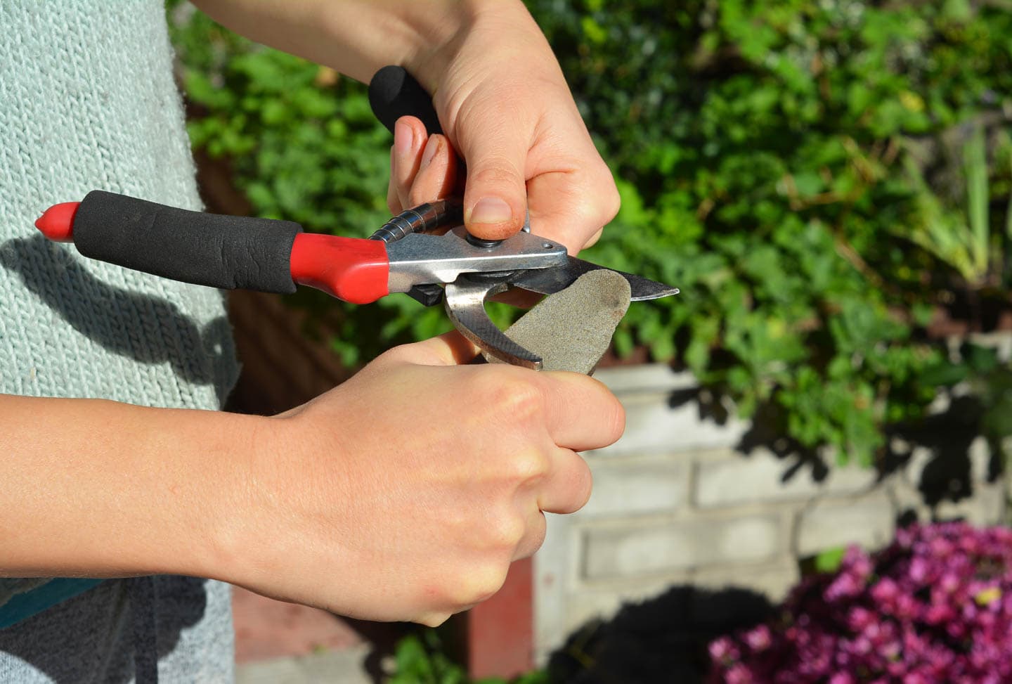 Gardening shears being sharpened with a sharpening stone