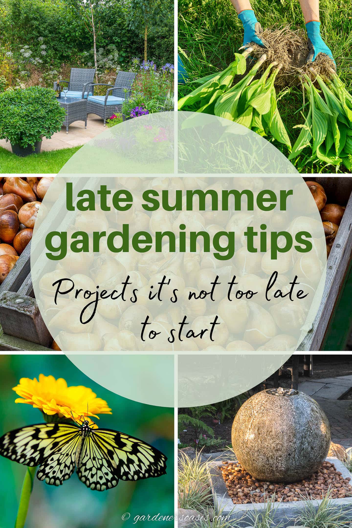 late summer gardening tips