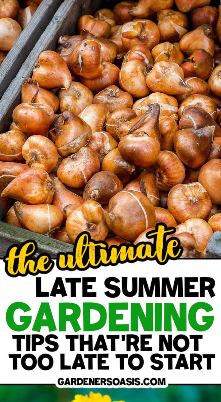 Late Summer Gardening Tips (Projects It's Not Too Late To Start)