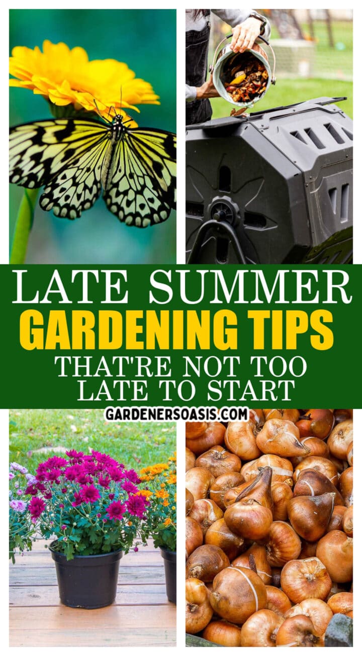 Late Summer Gardening Tips (Projects It's Not Too Late To Start)