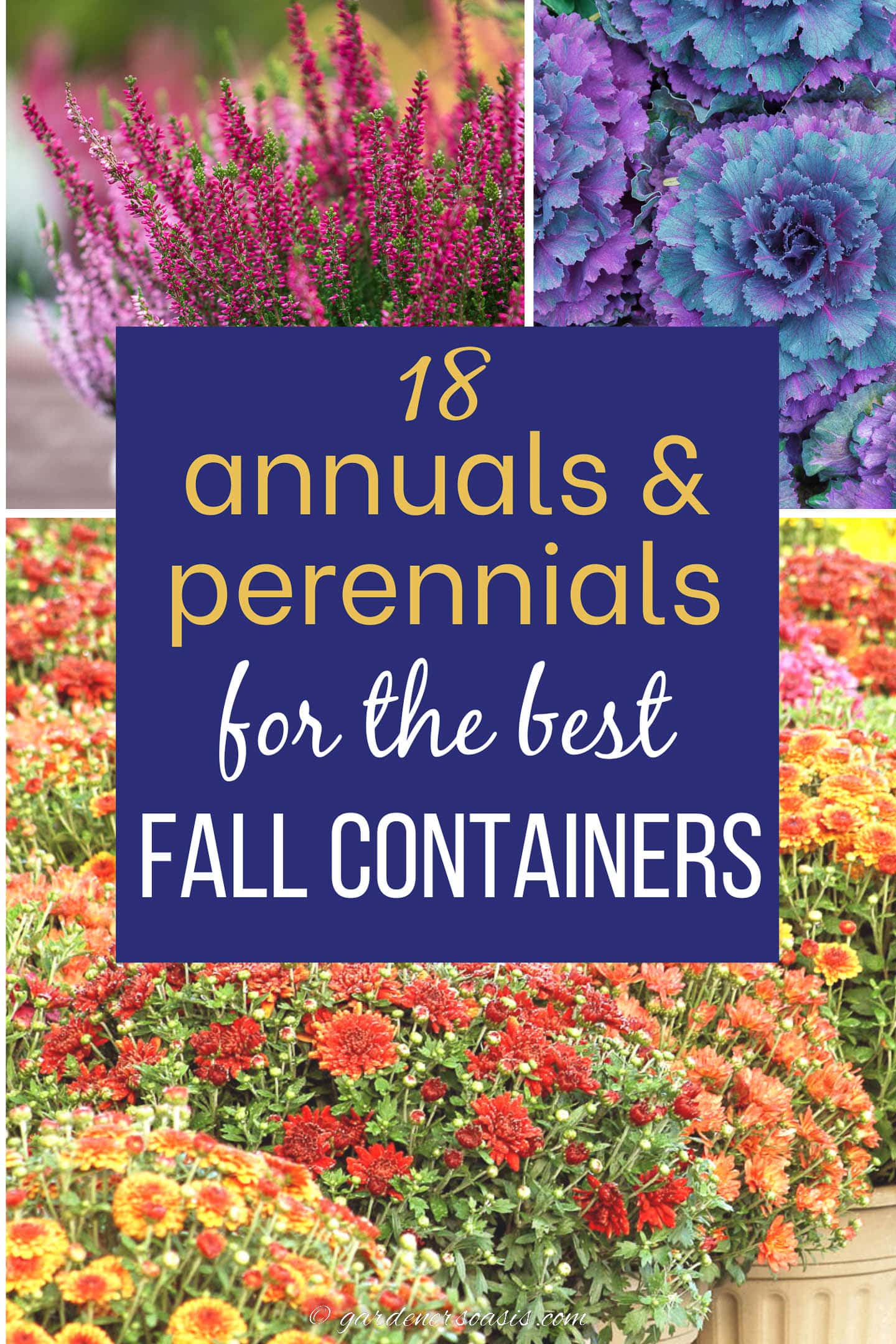 Fall container plants: 18 annuals and perennials