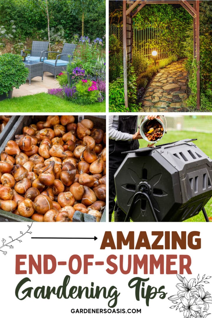 Late Summer Gardening Tips (Projects It's Not Too Late To Start)