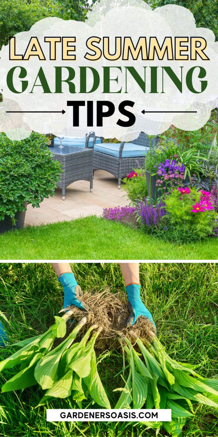 Late Summer Gardening Tips (Projects It's Not Too Late To Start)