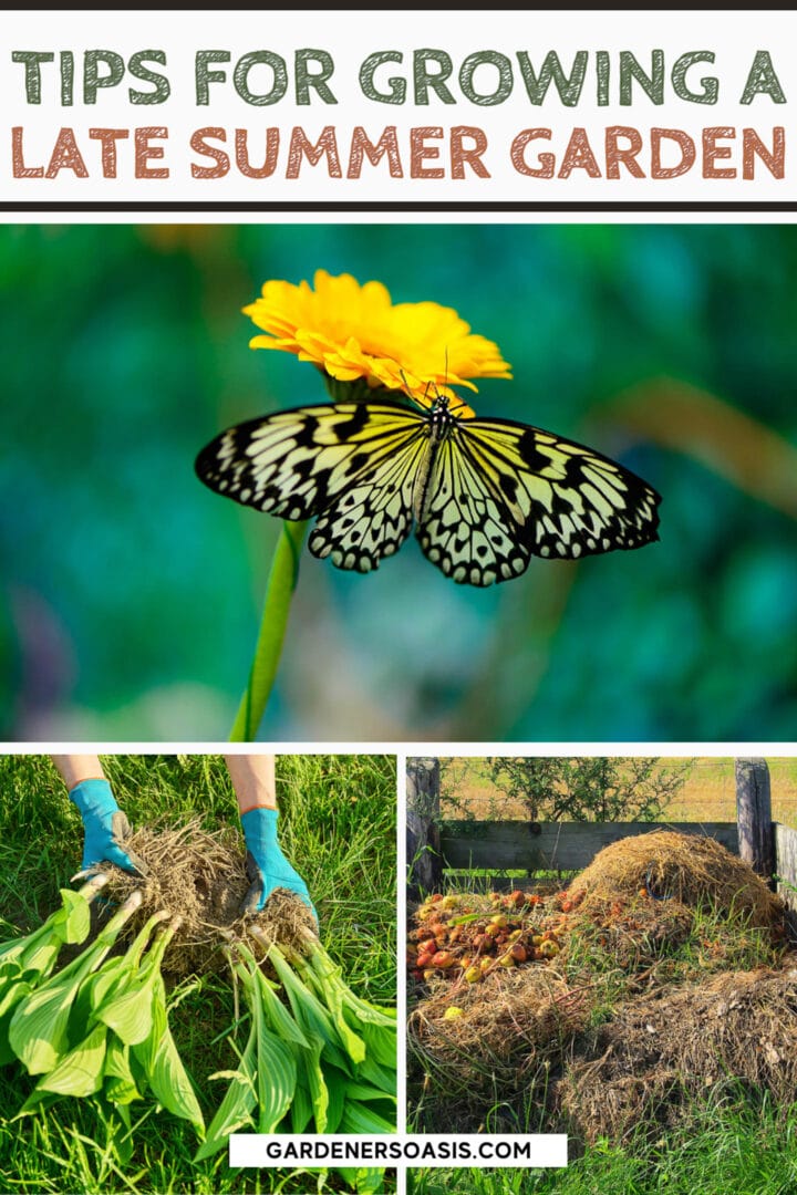 Late Summer Gardening Tips (Projects It's Not Too Late To Start)