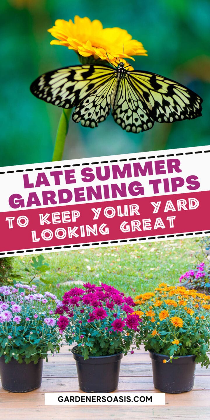 Late Summer Gardening Tips (Projects It's Not Too Late To Start)