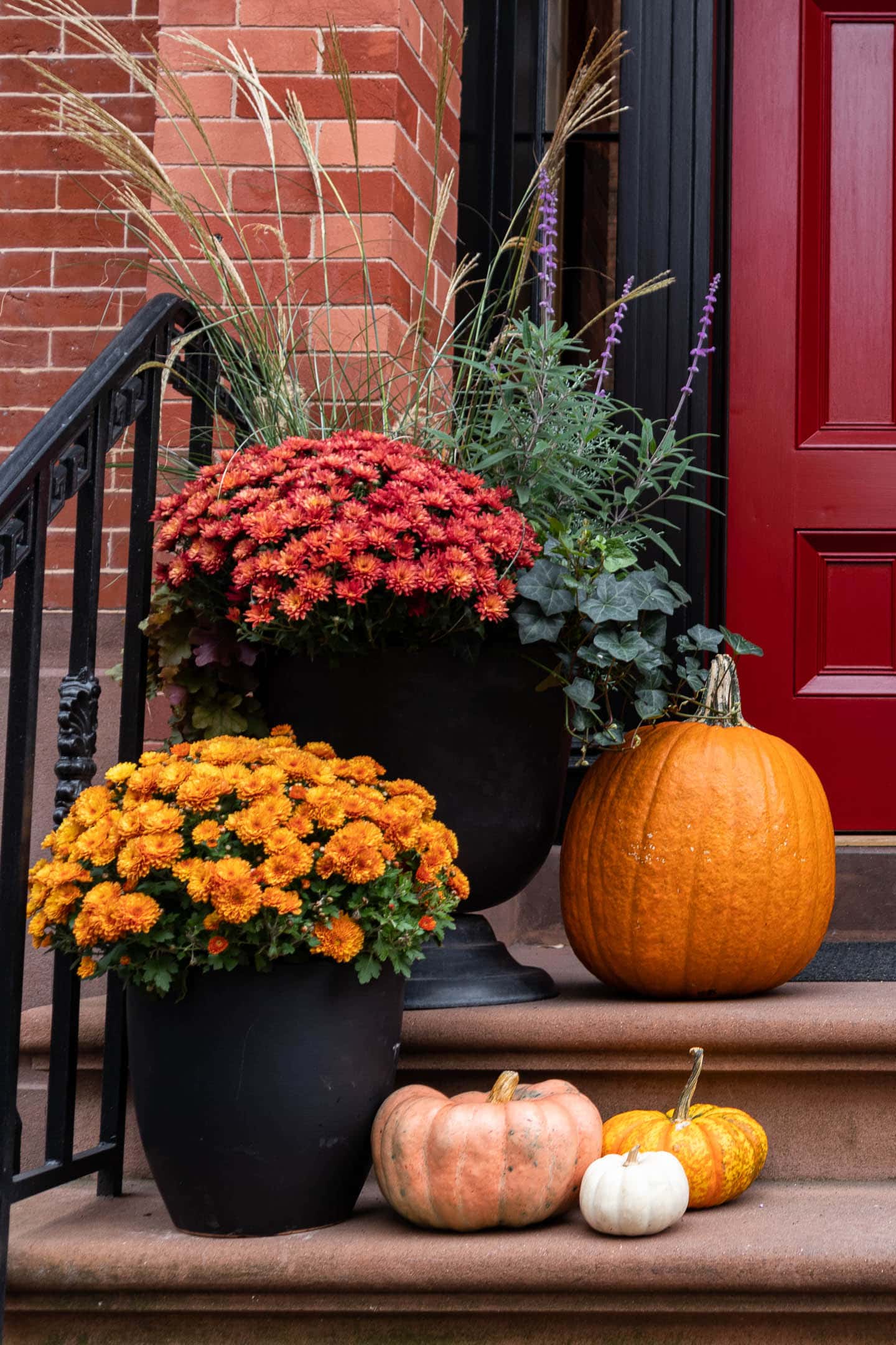 Front porch fall planter with orange Chrysanthemums, grasses, salvia and ivy beside a few pumpkins