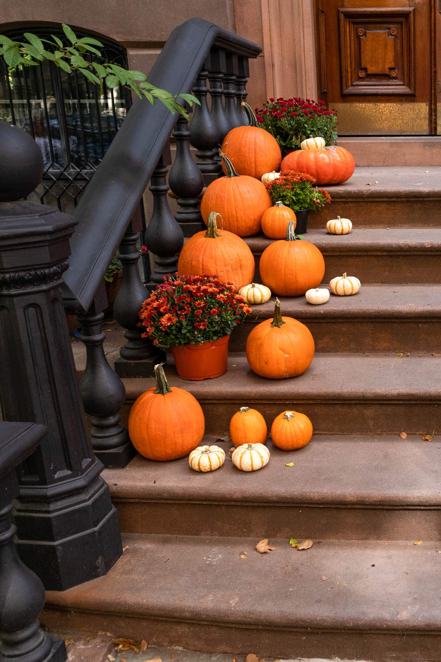 Collection of different sized pumpkins with a few pots of Chrysanthemums on the front porch stairs