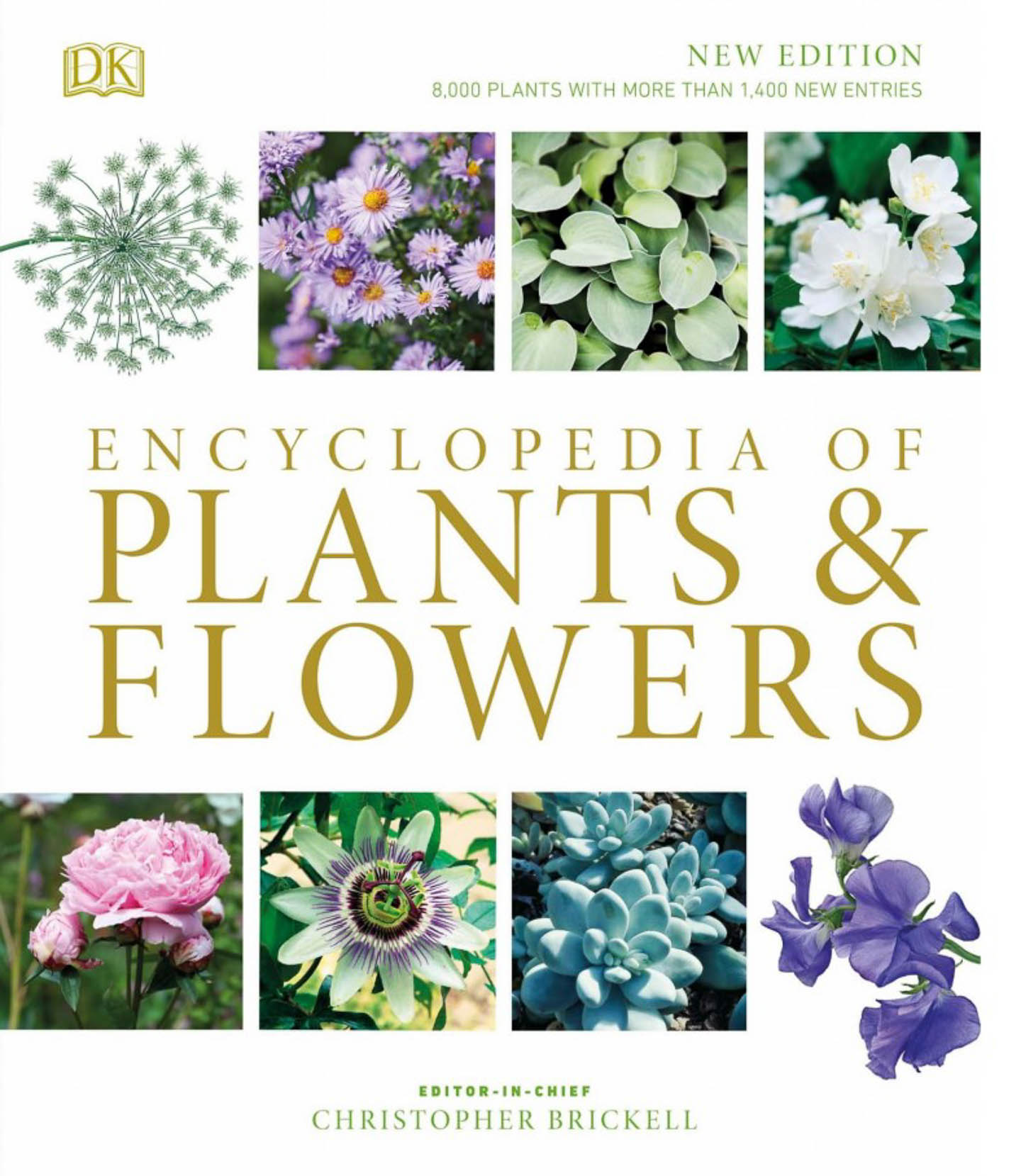 Book cover for Encyclopedia of Plants & Flowers