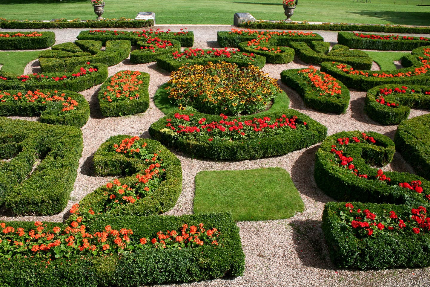 Circular garden beds edged in dwarf box hedges and filled with red flowers