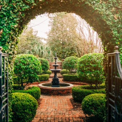 formal garden with a fountain in the middle of a paved path