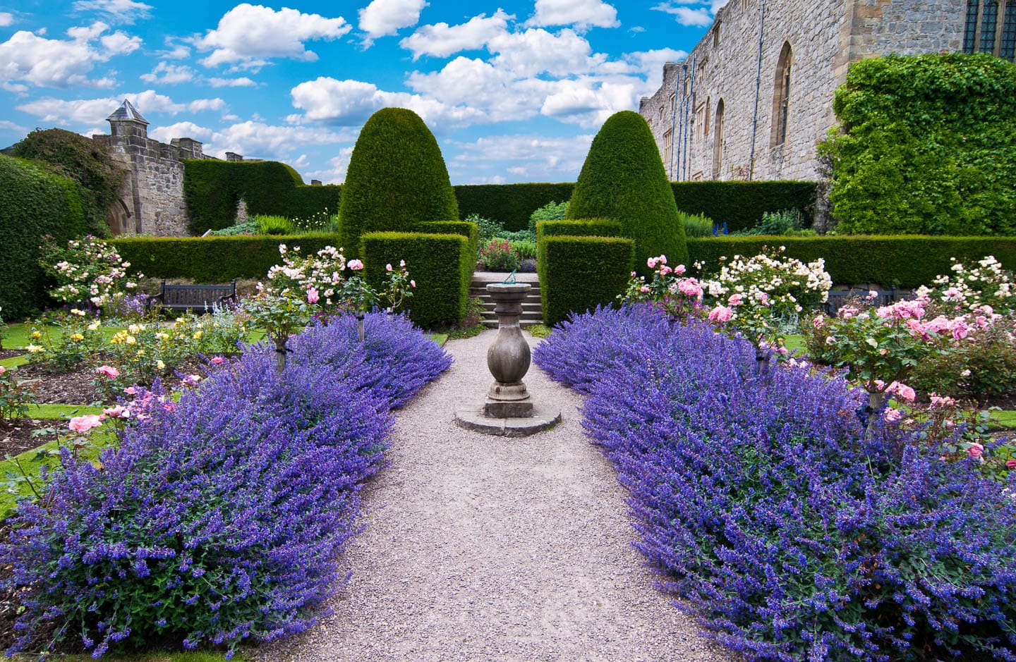 A formal garden with blue lavender on either side of a gravel path with a sundial in the middle