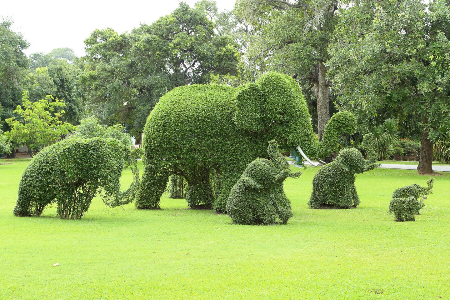 Topiary elephant family in a park