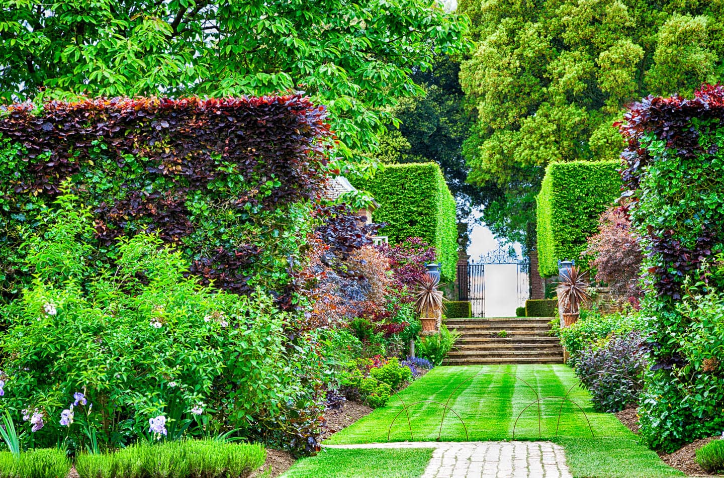 A formal garden design with a grass path and a clipped hedge