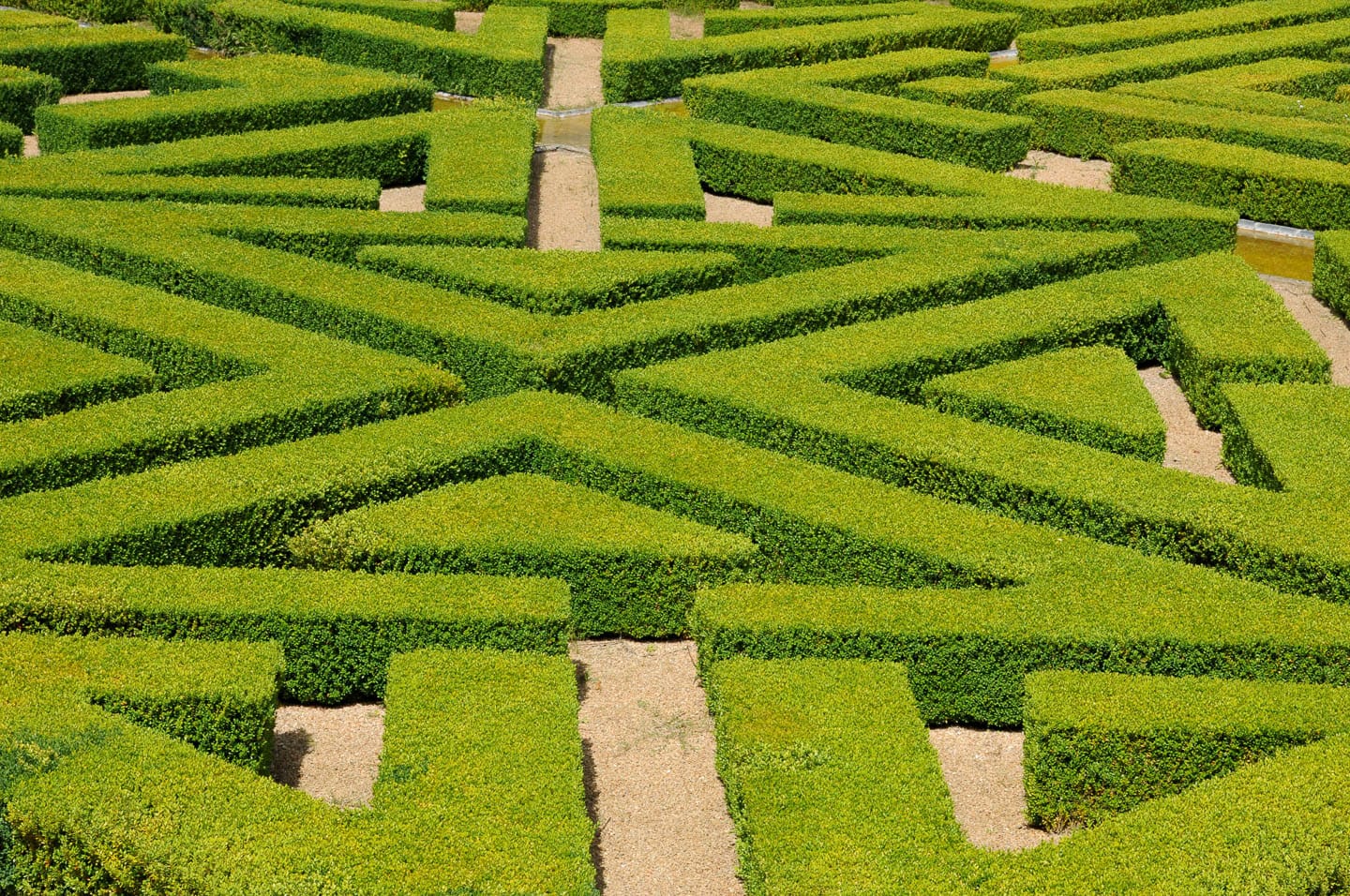 A geometrical garden with hedges clipped into a triangular design