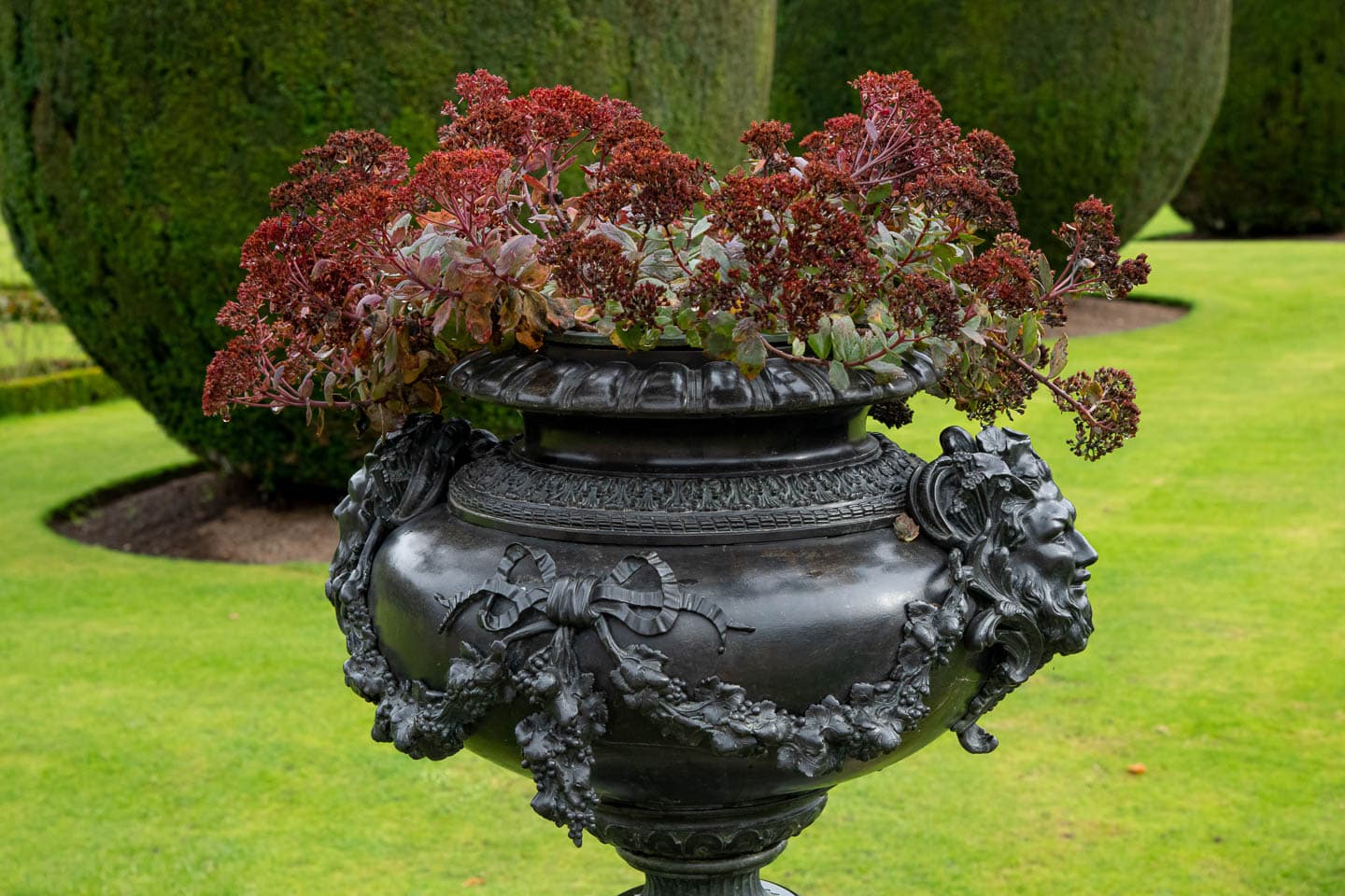 A large black urn with red flowers