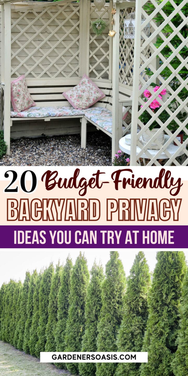 Backyard Privacy Ideas For Screening Neighbors Out
