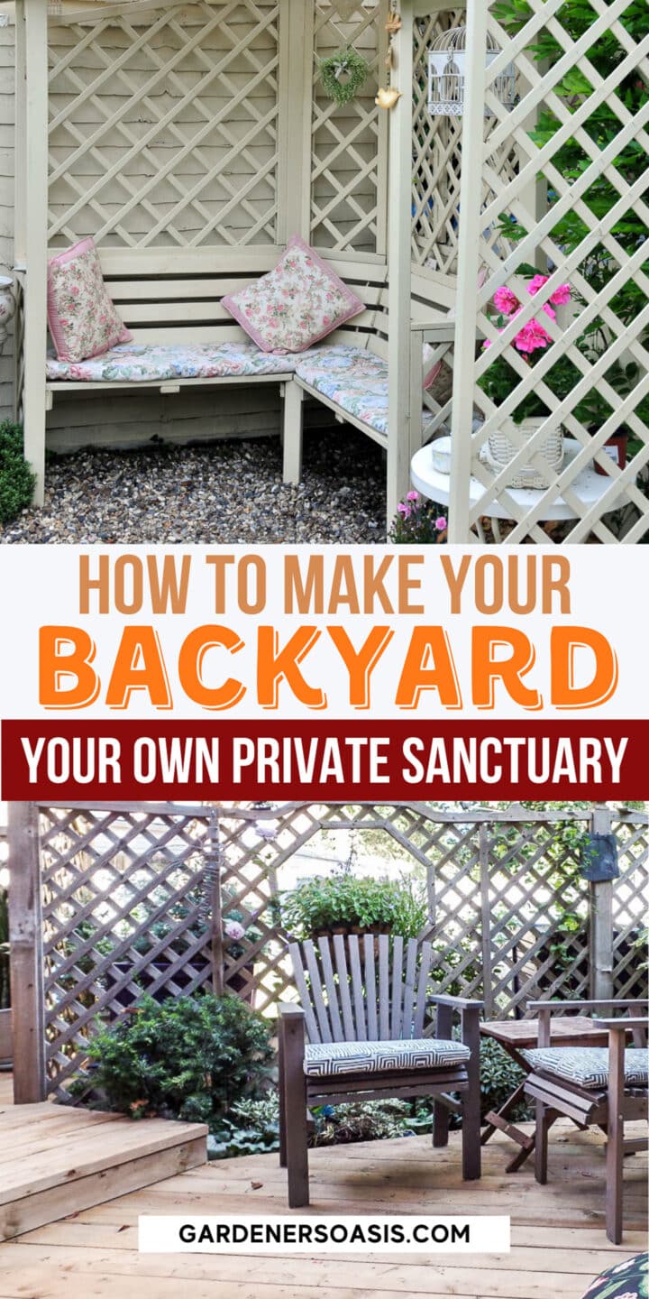 Backyard Privacy Ideas For Screening Neighbors Out