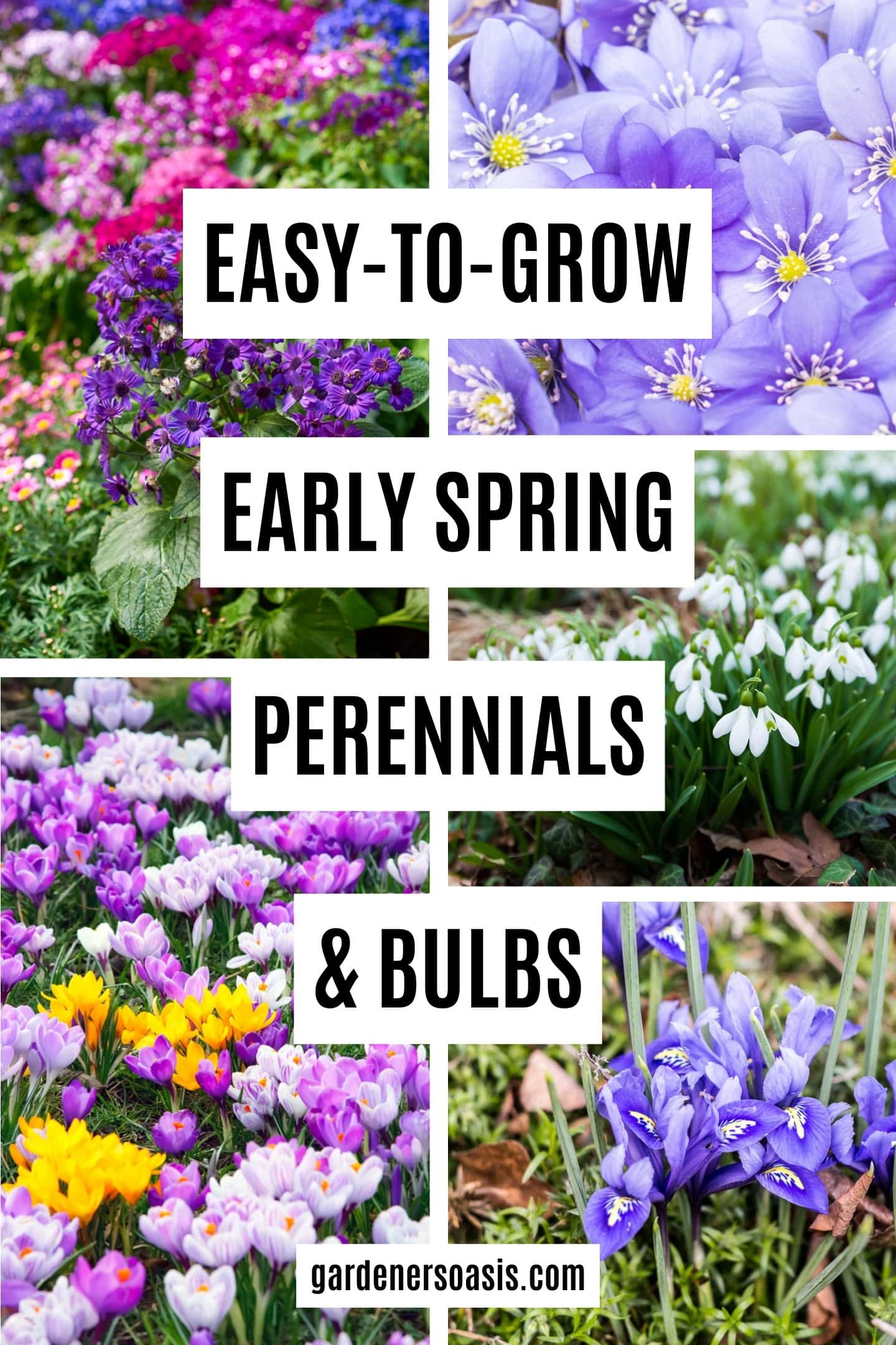 The Best Perennials, Bulbs And Shrubs For Early Spring Flowers